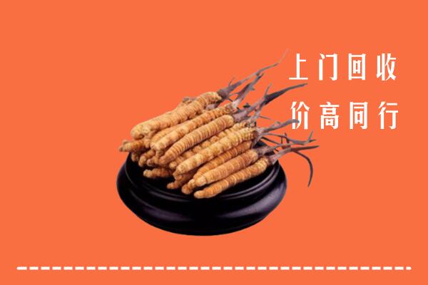 高价求购：郑州市中原回收散虫草