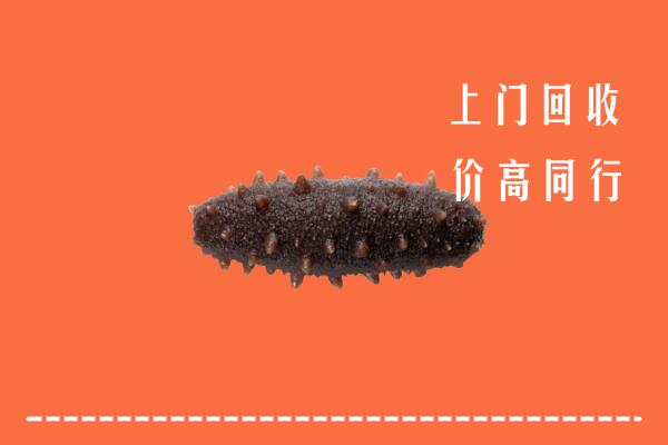 高价求购：郑州市中原回收海参