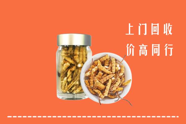 郑州市中原回收冬虫夏草